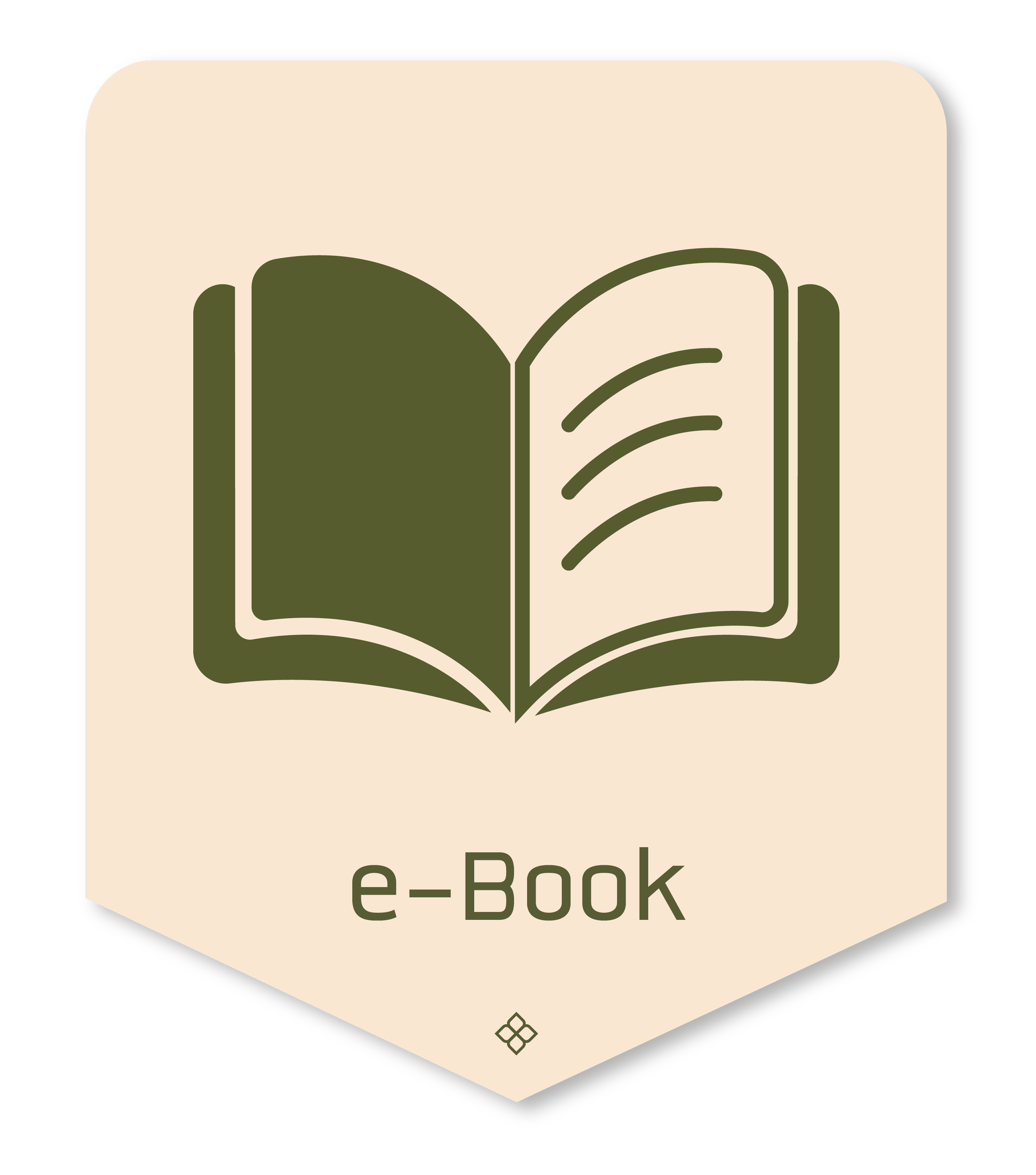 b e book