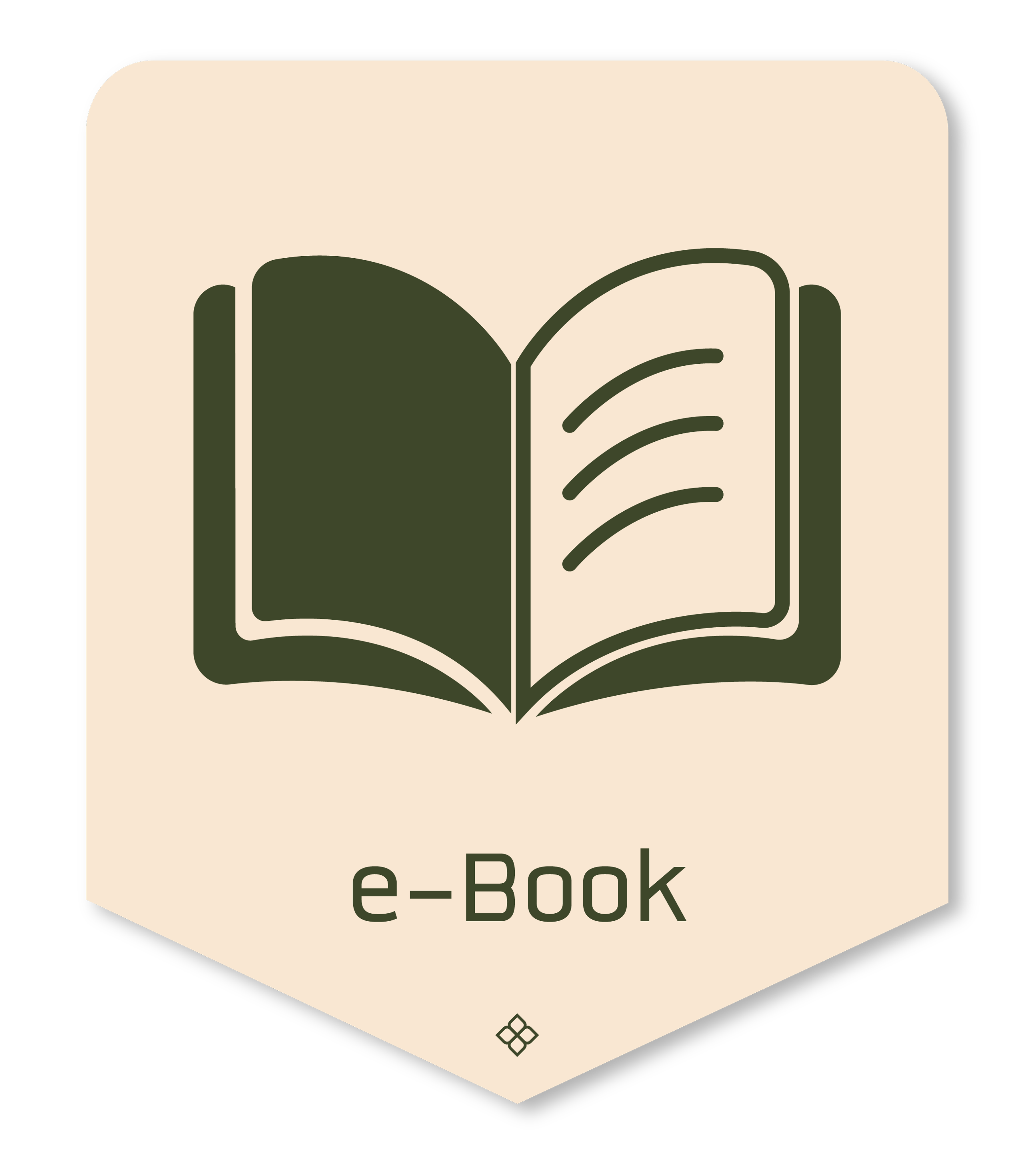 b e book